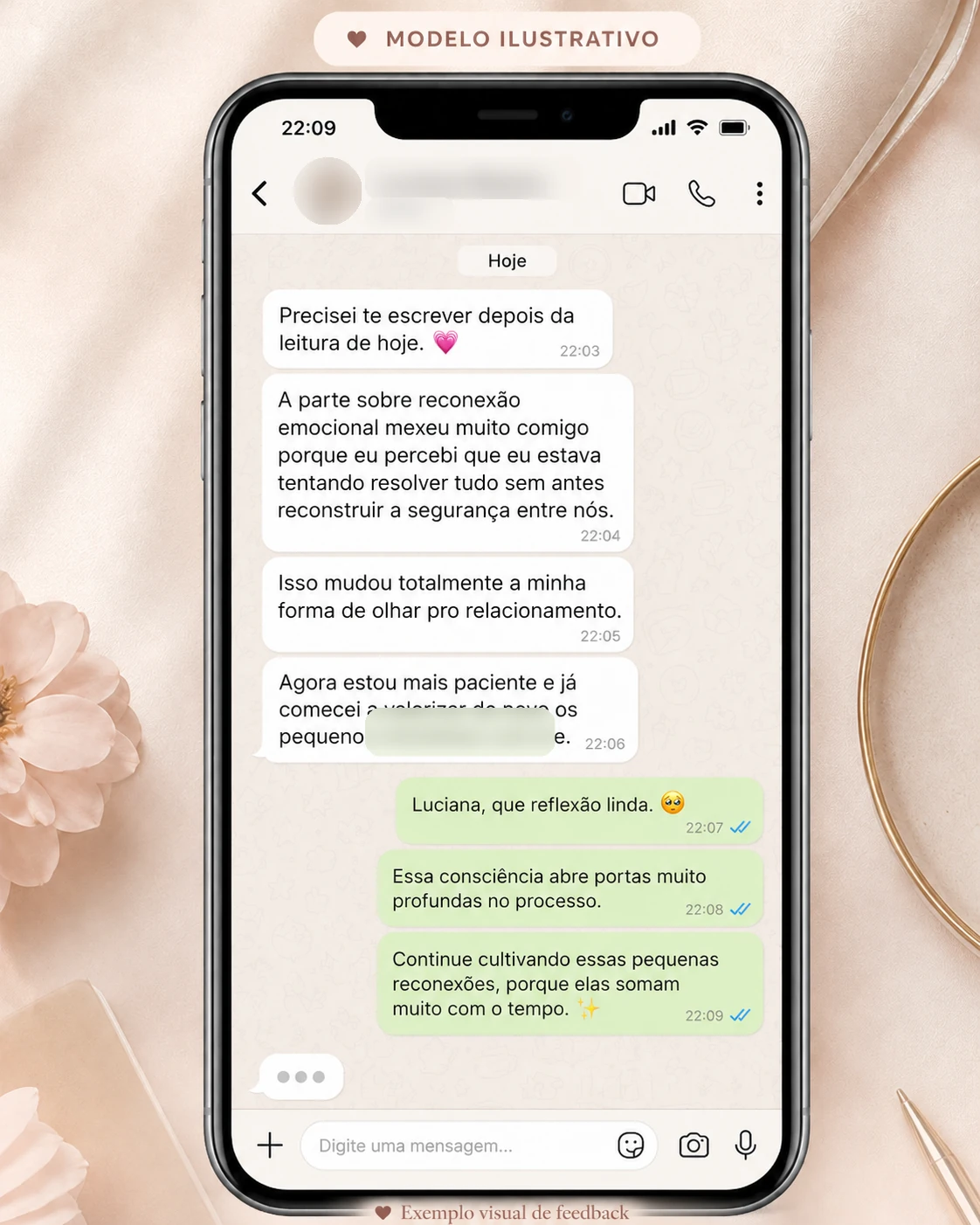 Exemplo visual de feedback ilustrativo 3, com nome e foto do perfil desfocados