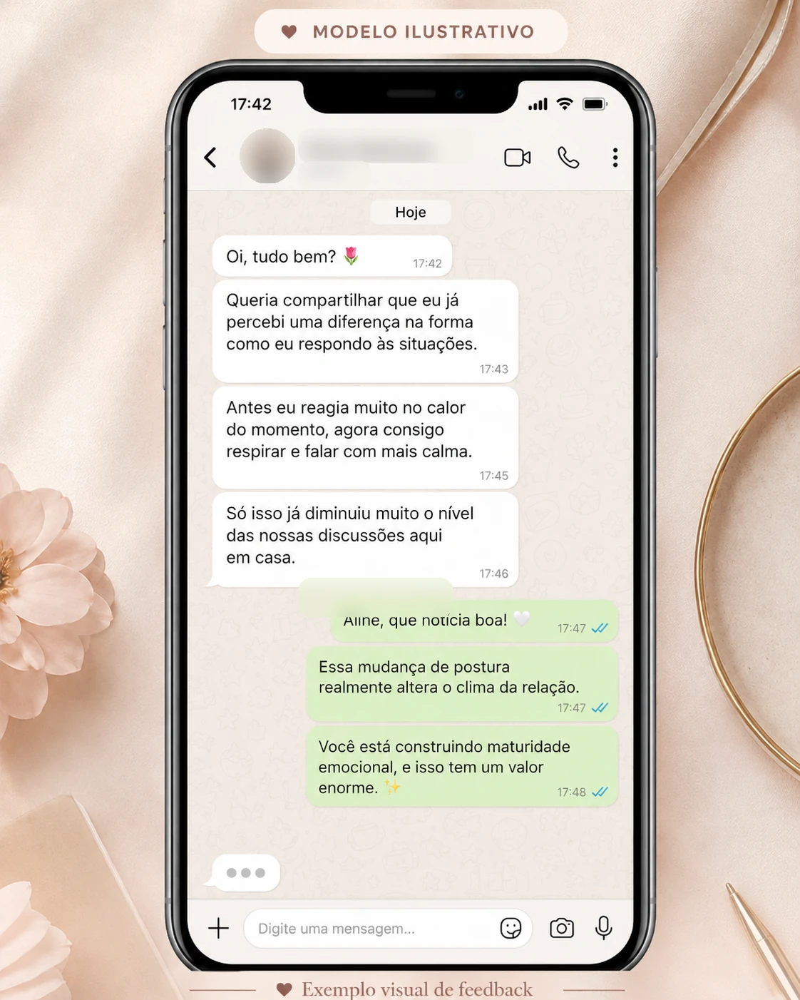 Exemplo visual de feedback ilustrativo 4, com nome e foto do perfil desfocados