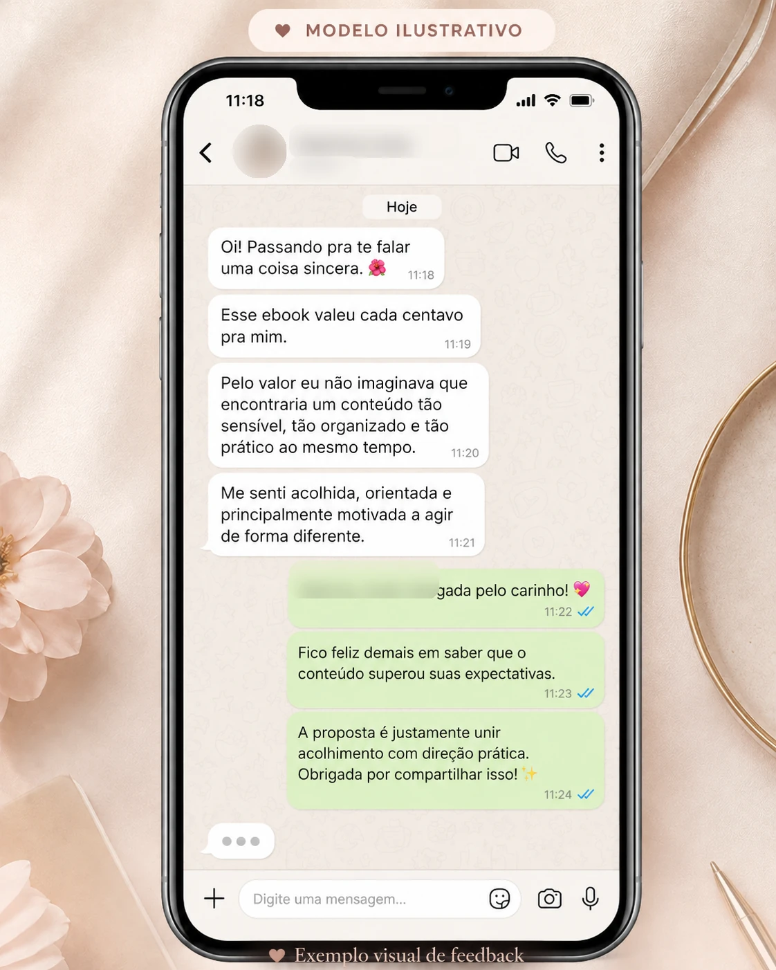 Exemplo visual de feedback ilustrativo 6, com nome e foto do perfil desfocados