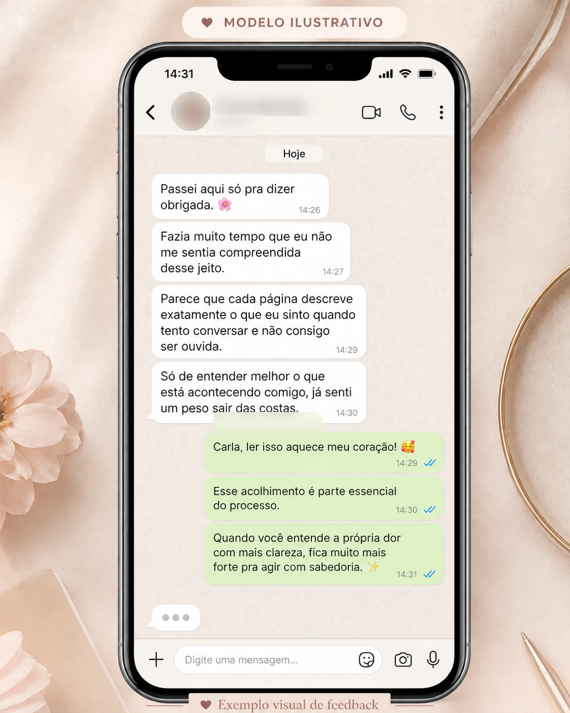 Exemplo visual de feedback ilustrativo 8, com nome e foto do perfil desfocados